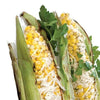 Urban Accents Corn on the Cob Seasoning Blend Chipotle Parmesan